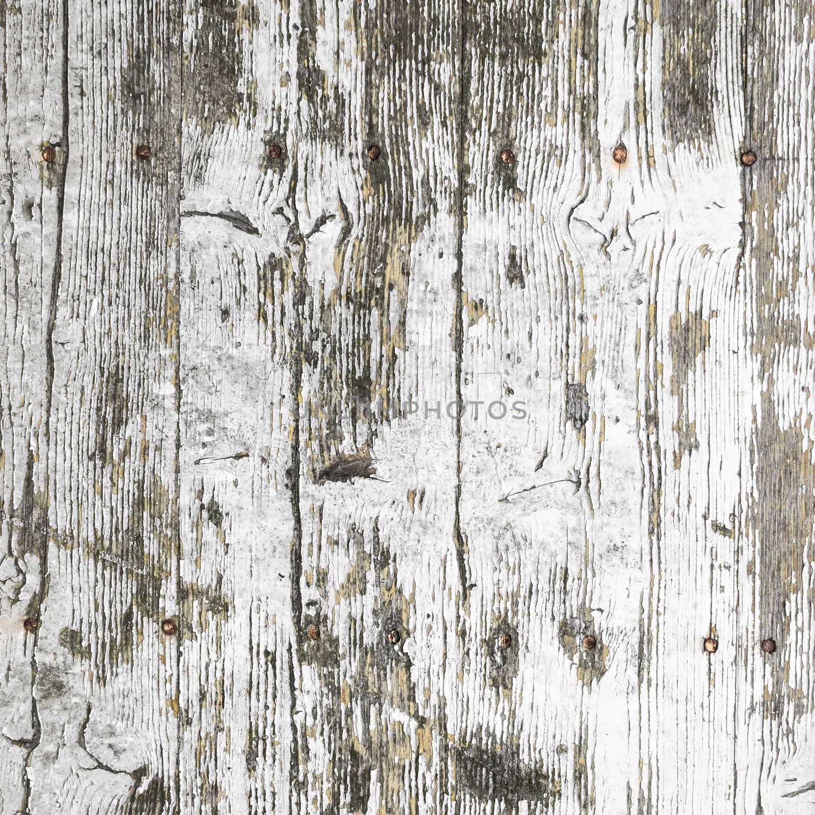 Grungy painted wood texture as background. Wooden grungy background. Ideal for vintage wallpaper and creative works.