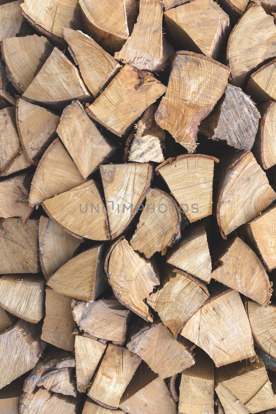 Firewood background. Background of firewood dry and rough, cut in small pieces.