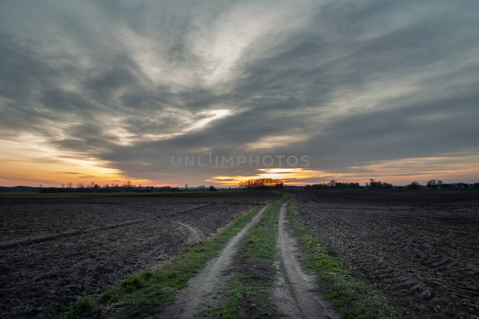 Dirt road through a plowed field and clouds in the sky after sunset