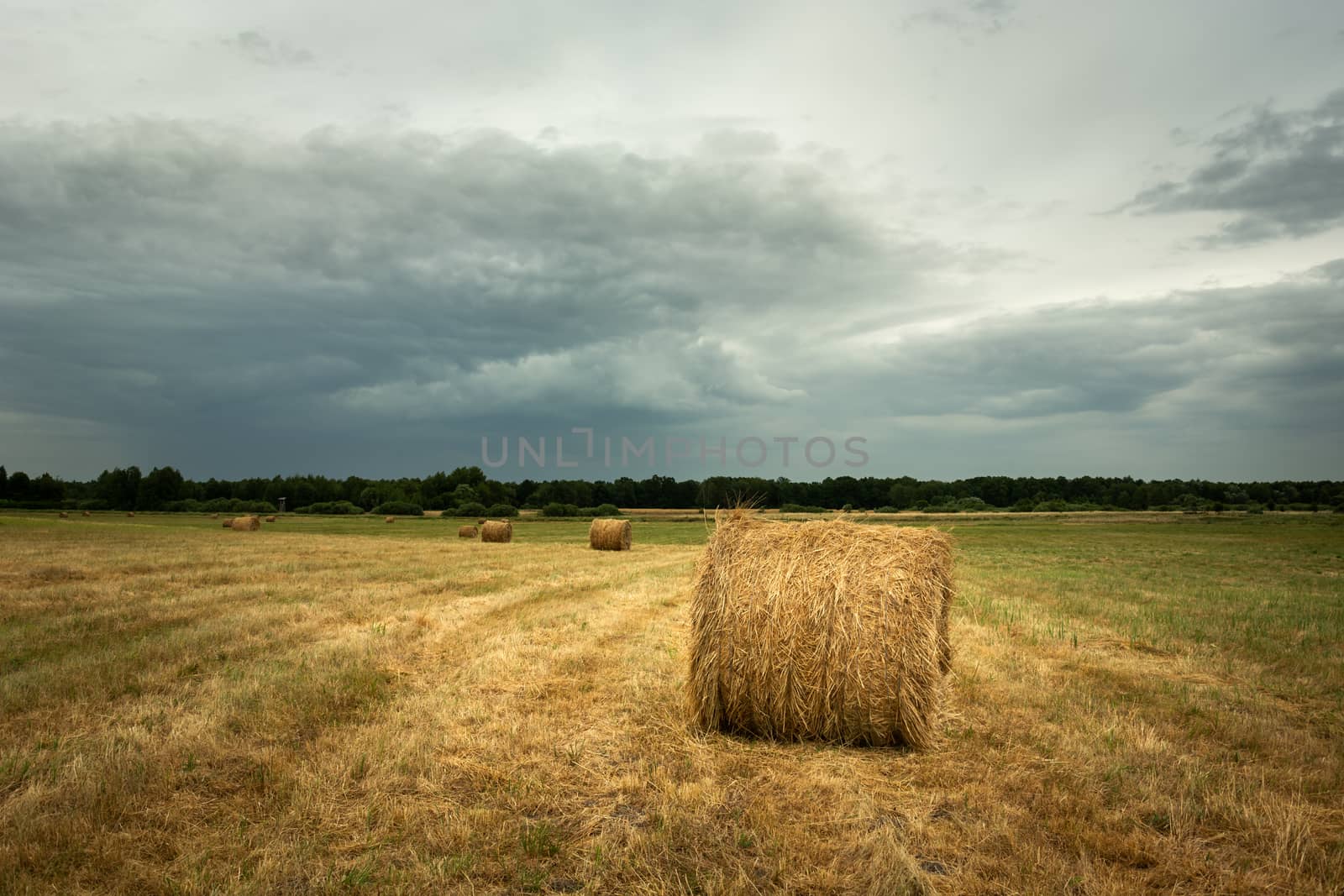 Hay bales in the field and cloudy sky, summer view