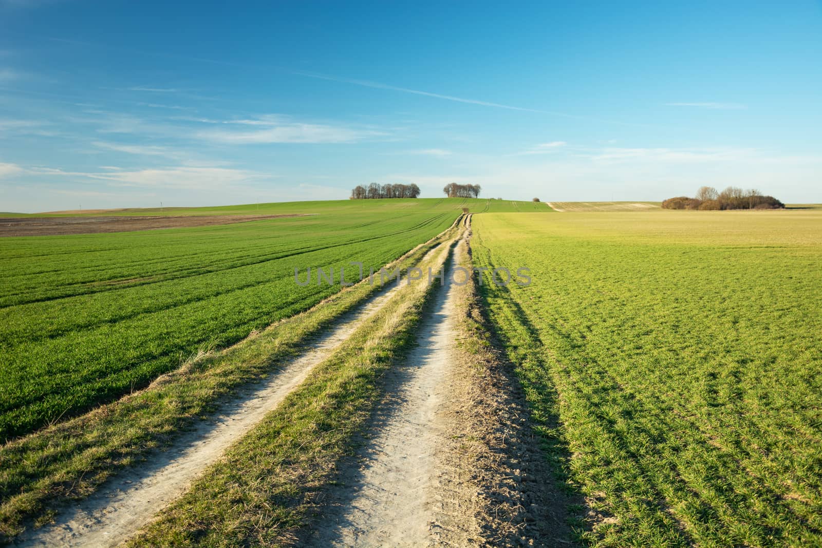 Long dirt road and green field, horizon and blue sky