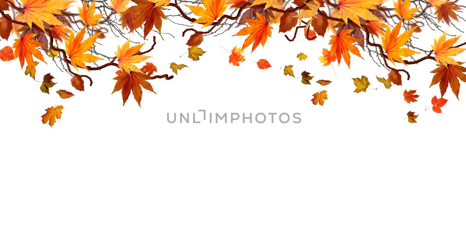 Beautiful brightly coloured Autumn frame on a white background