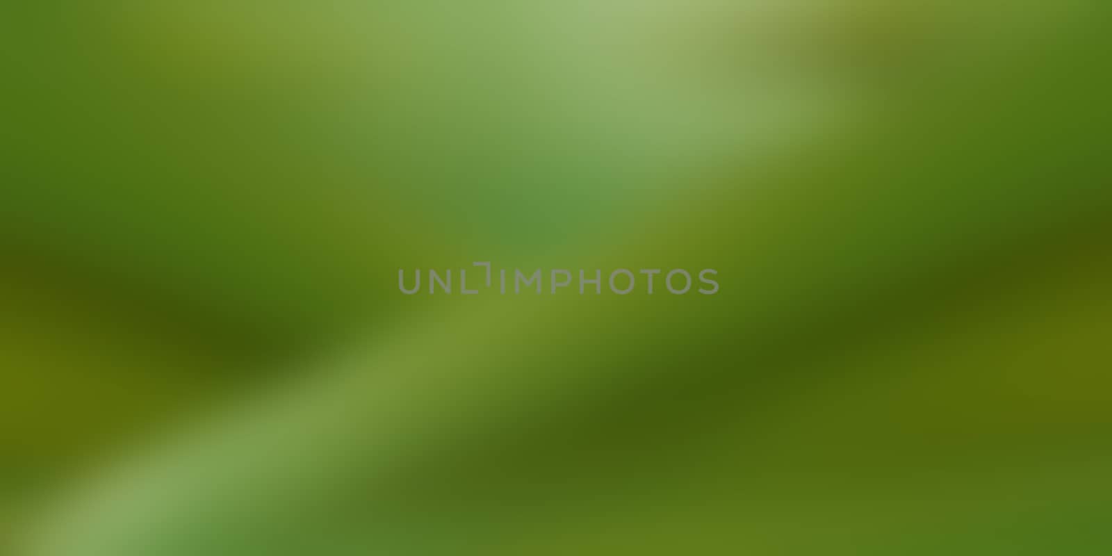 Beautiful green leaves on a blurred natural background. Panorama size. by paddythegolfer