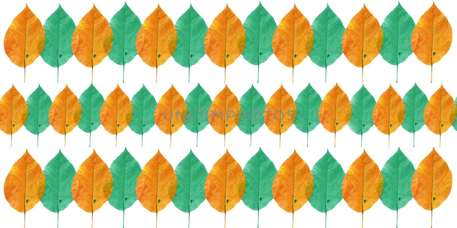 pattern with autumn red, orange,green and yellow leaves isolated on white background