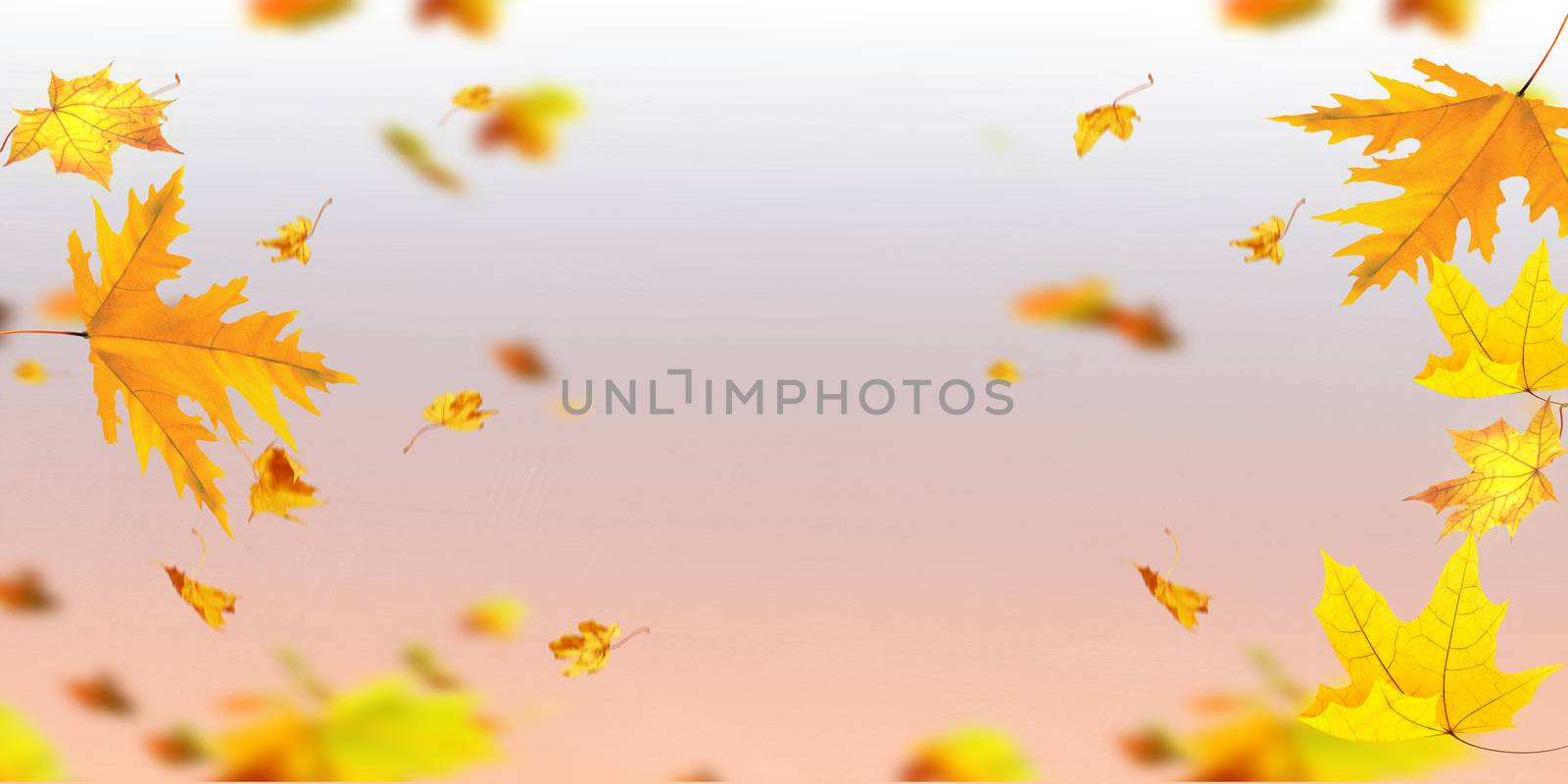Falling autumn leaves natural coloured background