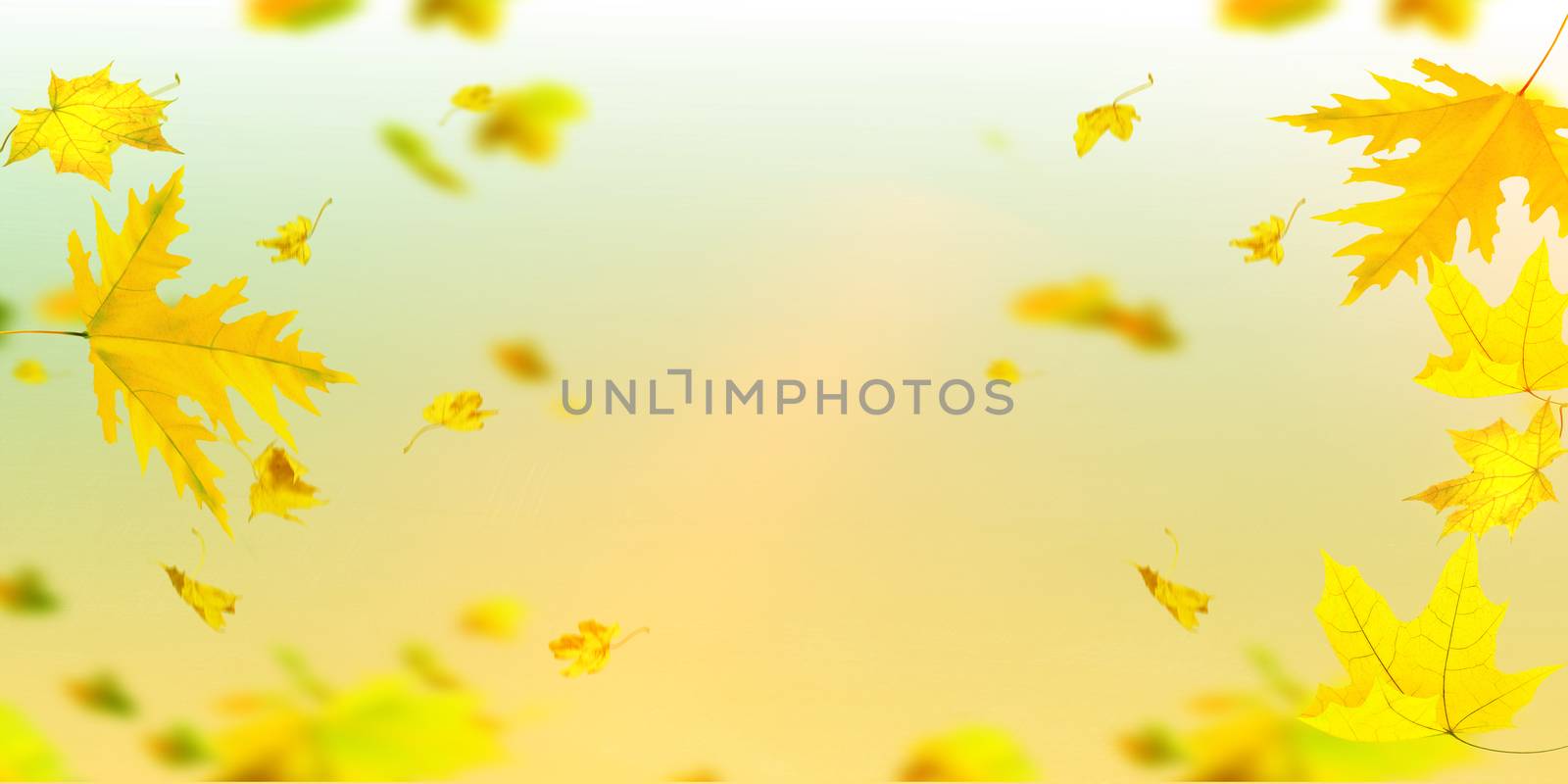 Falling autumn leaves natural colour background by paddythegolfer