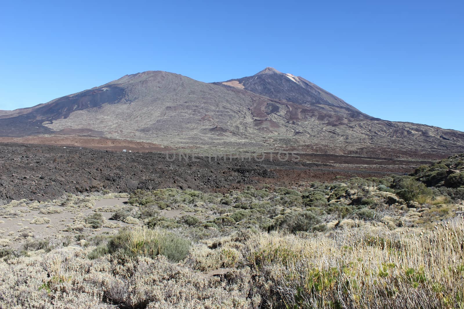 Landscape around the Teide - the highest mountain of spain