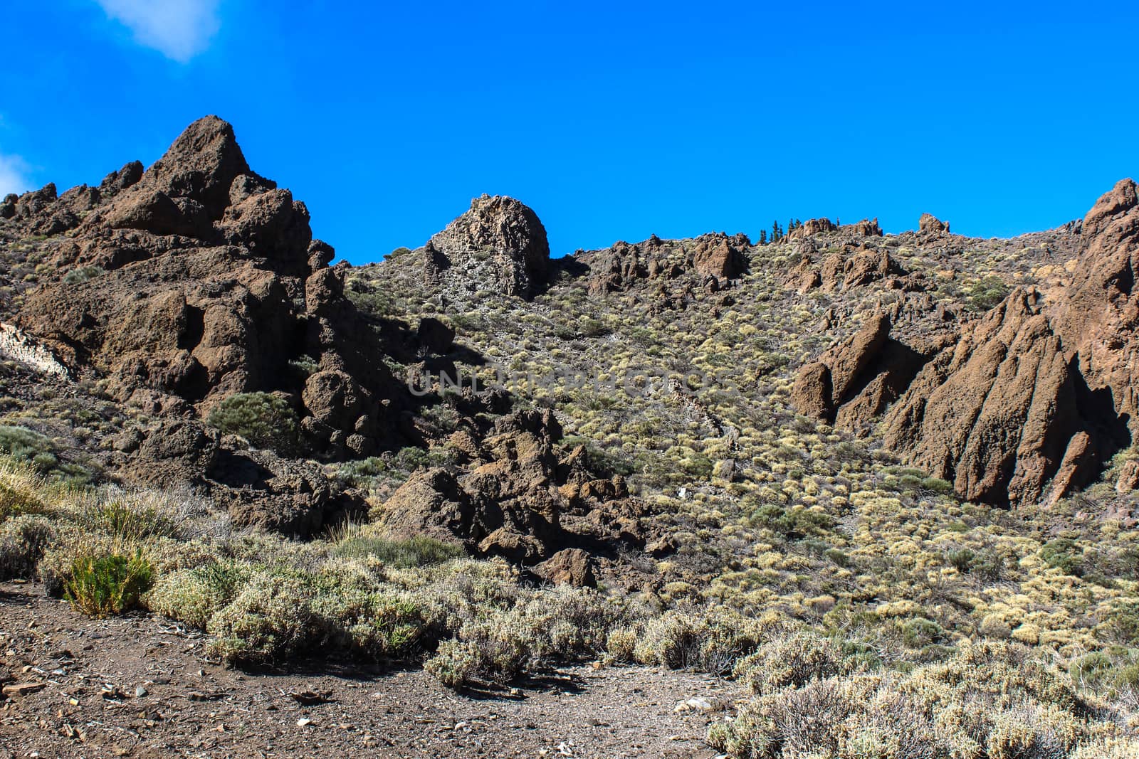 Landscape around the Teide - the highest mountain of spain