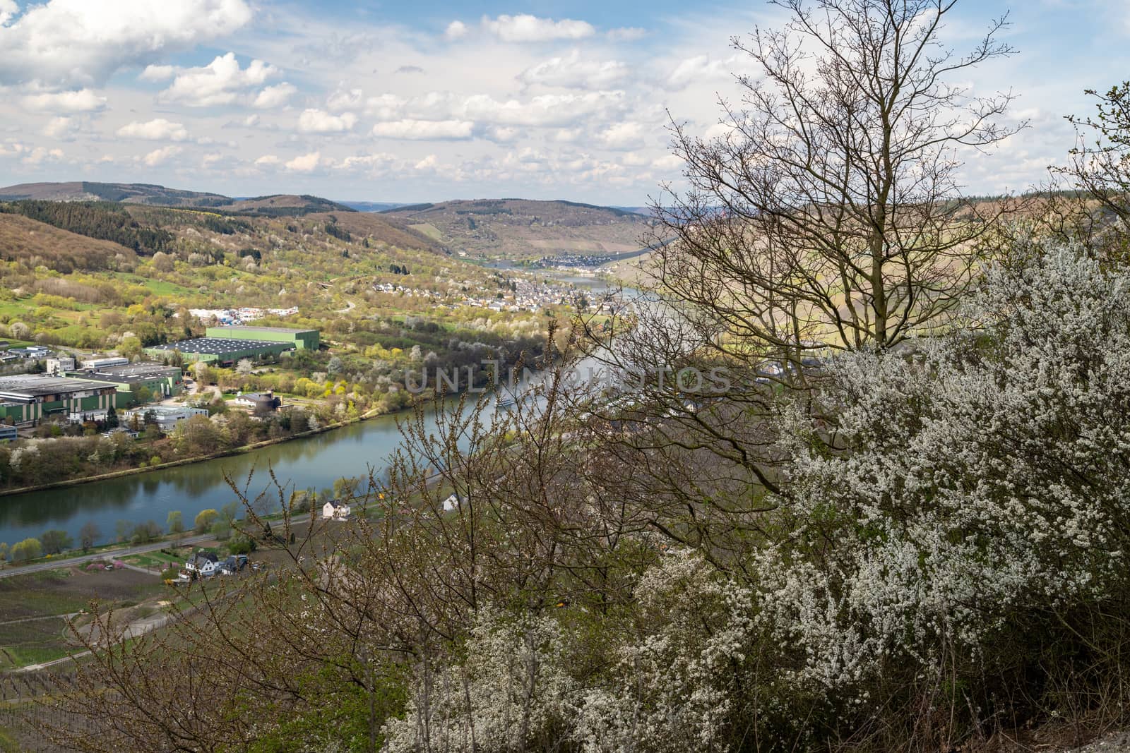 Panoramic view on the valley of the river Moselle  by reinerc