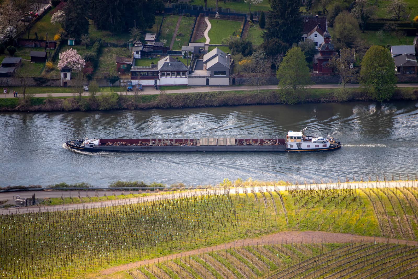 Cargo ship on the river Moselle, Germany with the wine village Wehlen in the background