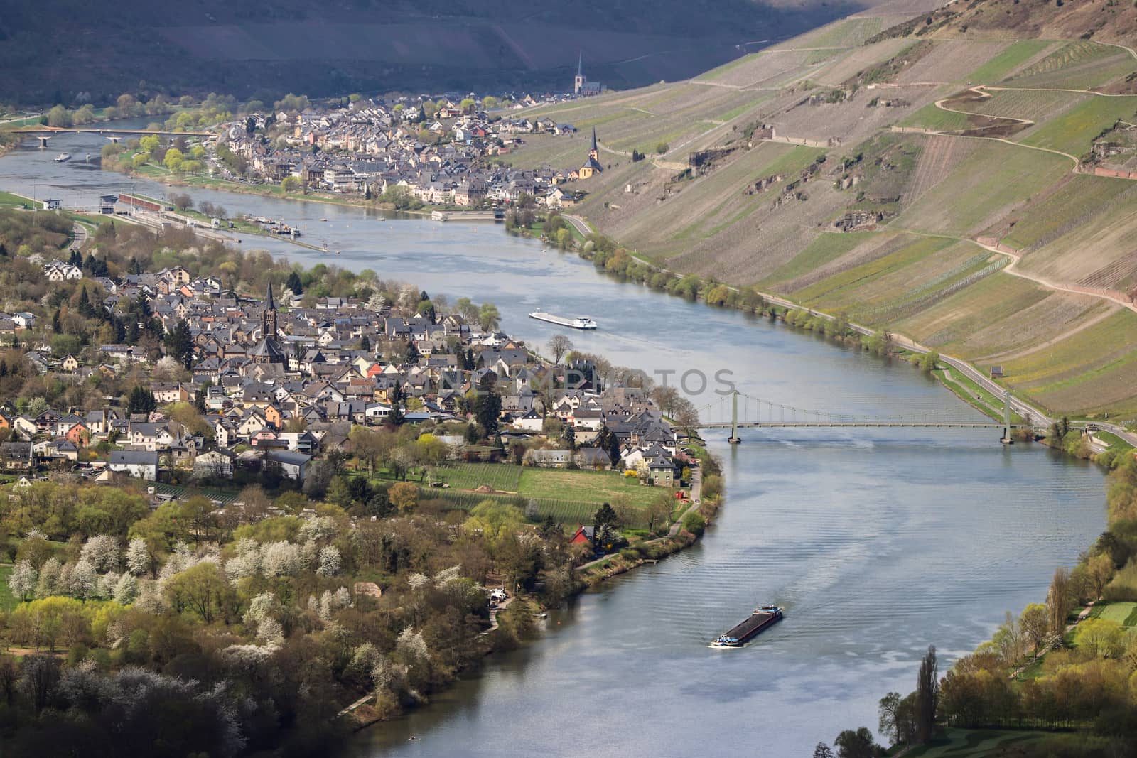 View on the valley of the river Moselle near Bernkastel-Kues by reinerc