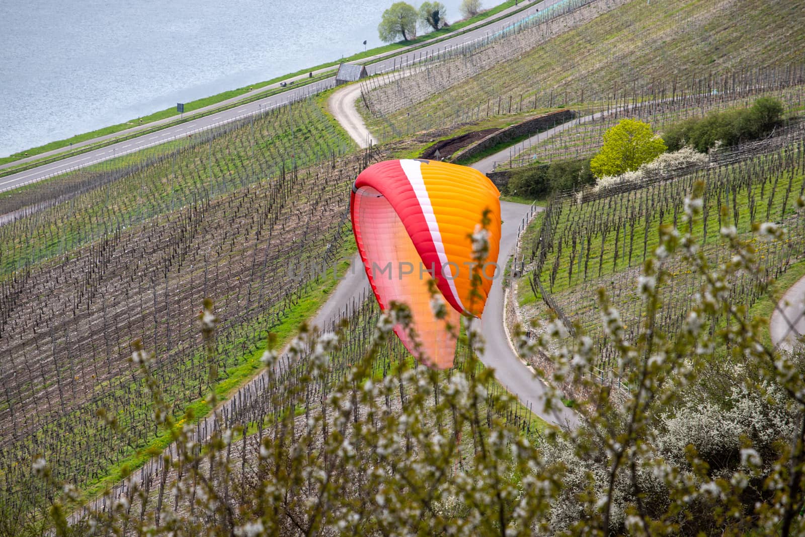 Flying paraglider over the valley of river Moselle and over vineyards