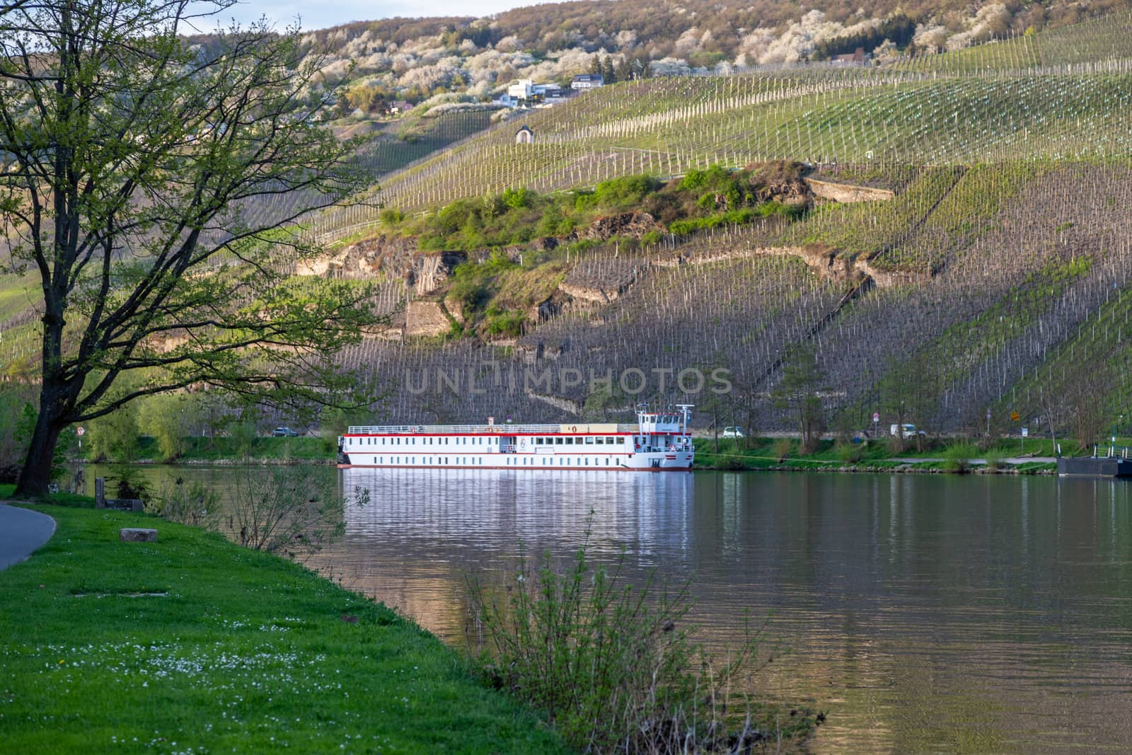 Bernkastel-Kues at river Moselle, Germany by reinerc