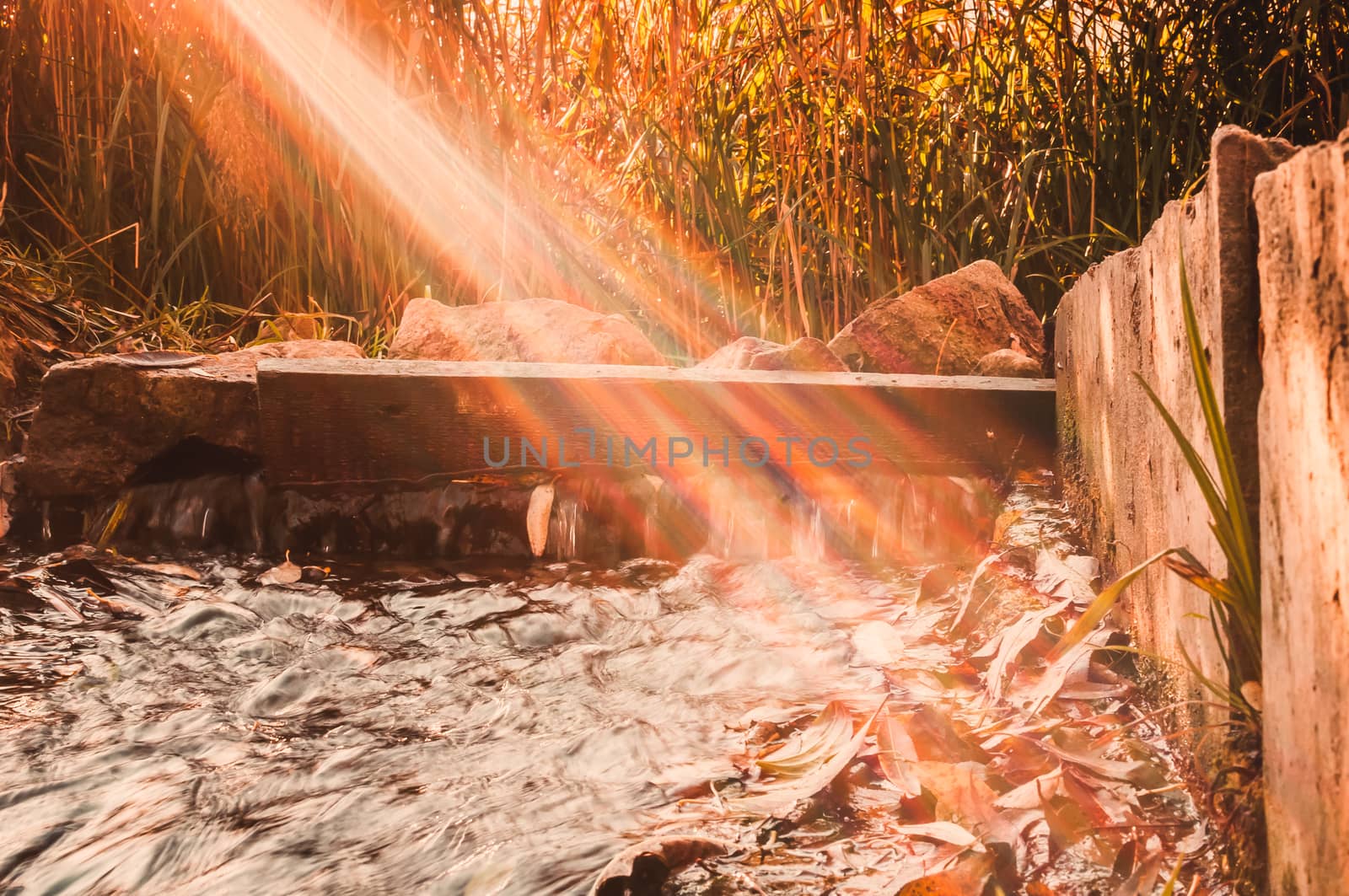 ray of sunlight illuminates small river near forest in October.Around is dry grass and fallen leaves,stones,reservoir with small waterfall and threshold.The concept of the autumn landscape.