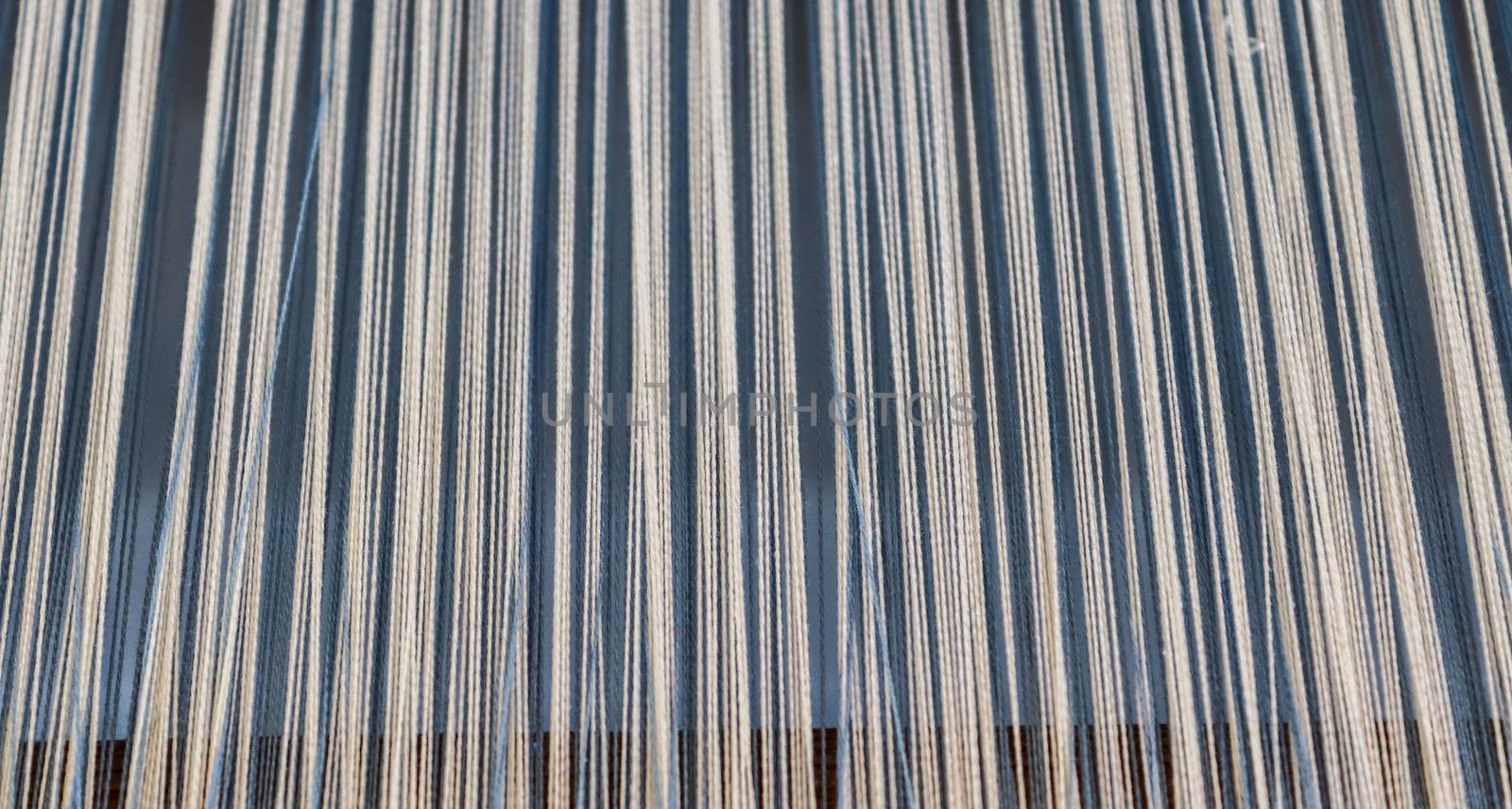 Close up texture of a lot of threads in a weaving machine called by MP_foto71