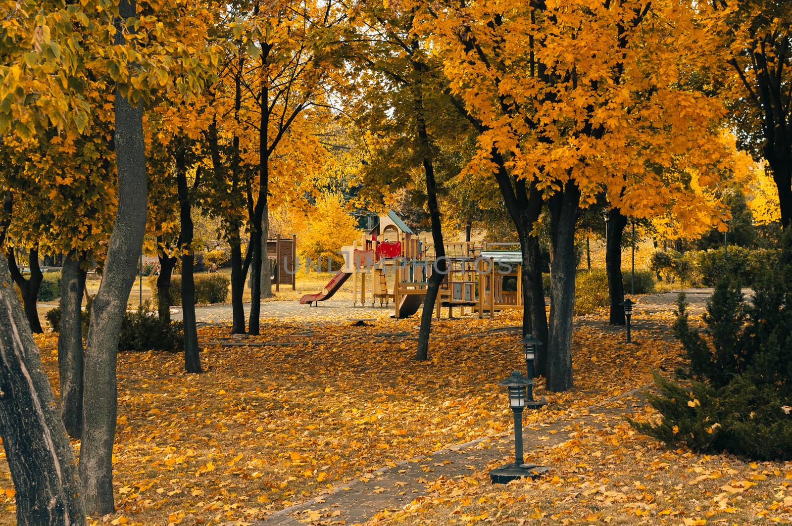 Autumn sunny landscape. Road in the park to the playground. Park with autumn trees and fallen leaves on a sunny day in October. Template for design.