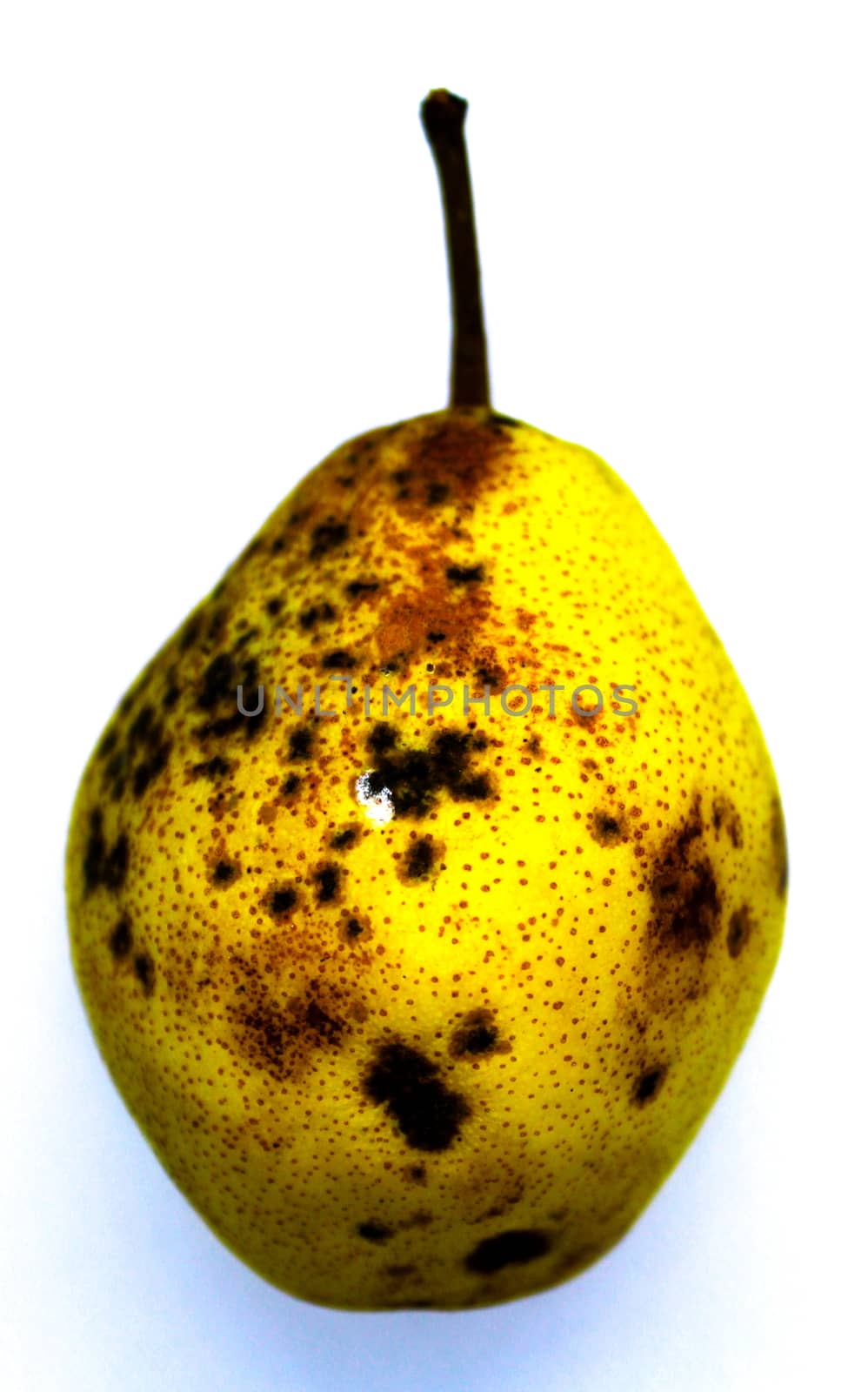 Beautiful yellow pear on white background. Yellow pear with black dots isolated on white background.