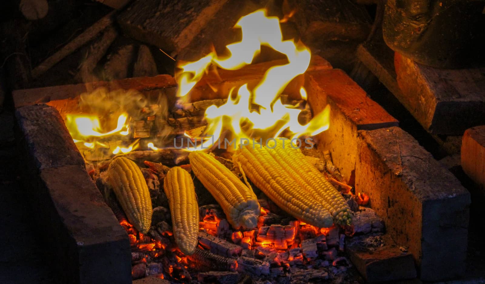 Fresh grilled corn. In the background a fire illuminating the corn. Zavidovici, Bosnia and Herzegovina.