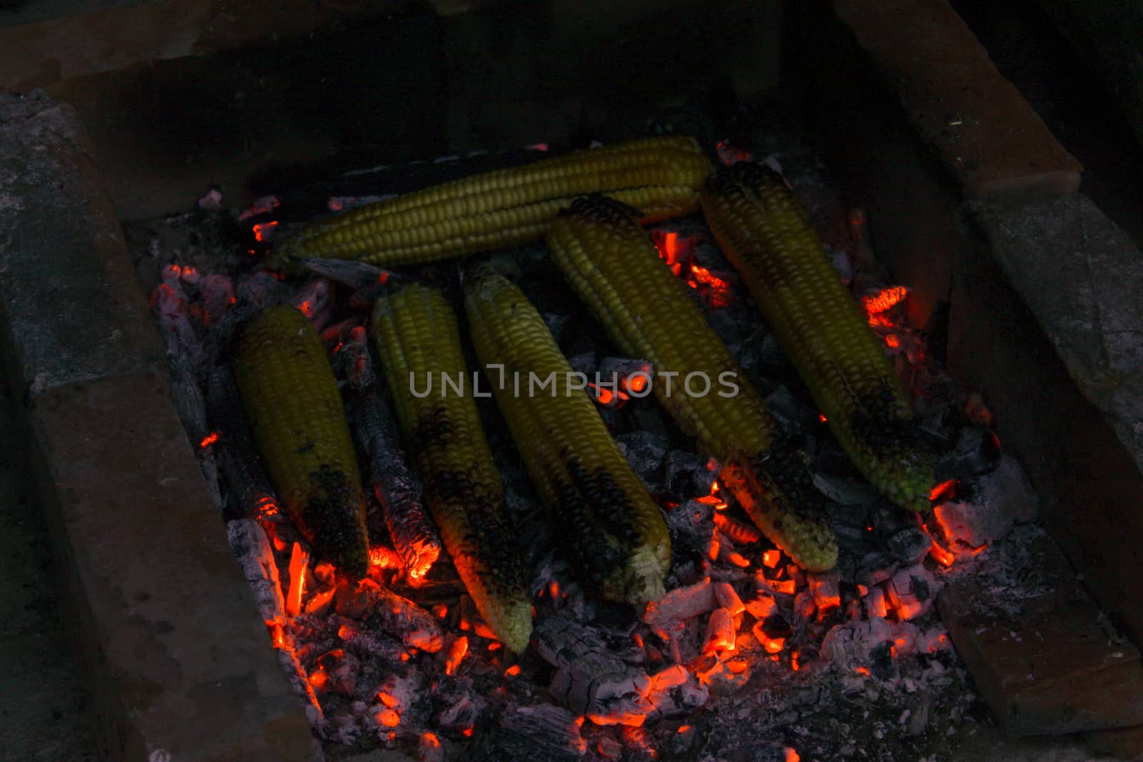 Roasting corn on the cob at night on summer days. by mahirrov