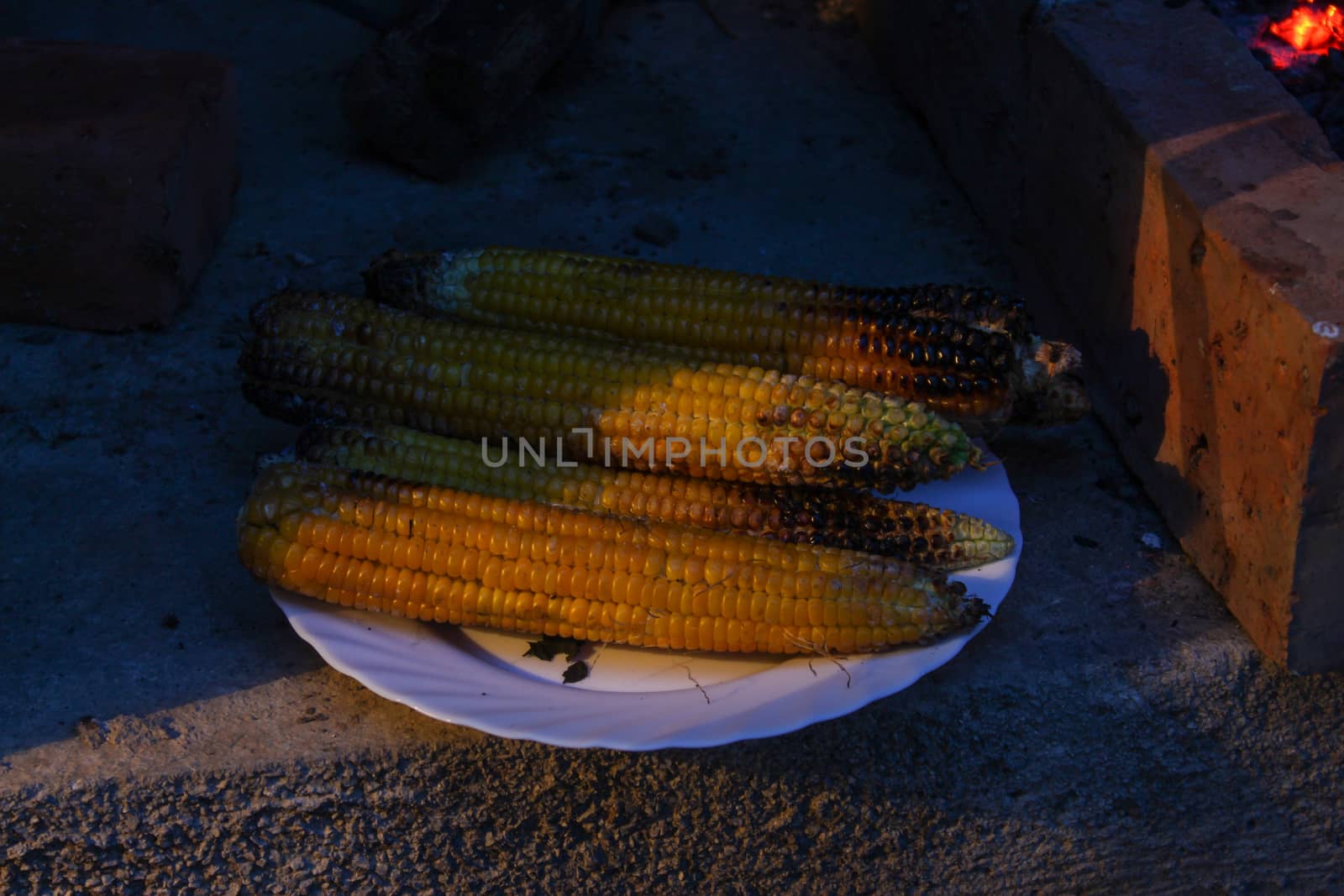 Burnt corn on the cob on a plate. Roasted corn on the cob on a plate. Zavidovici, Bosnia and Herzegovina.