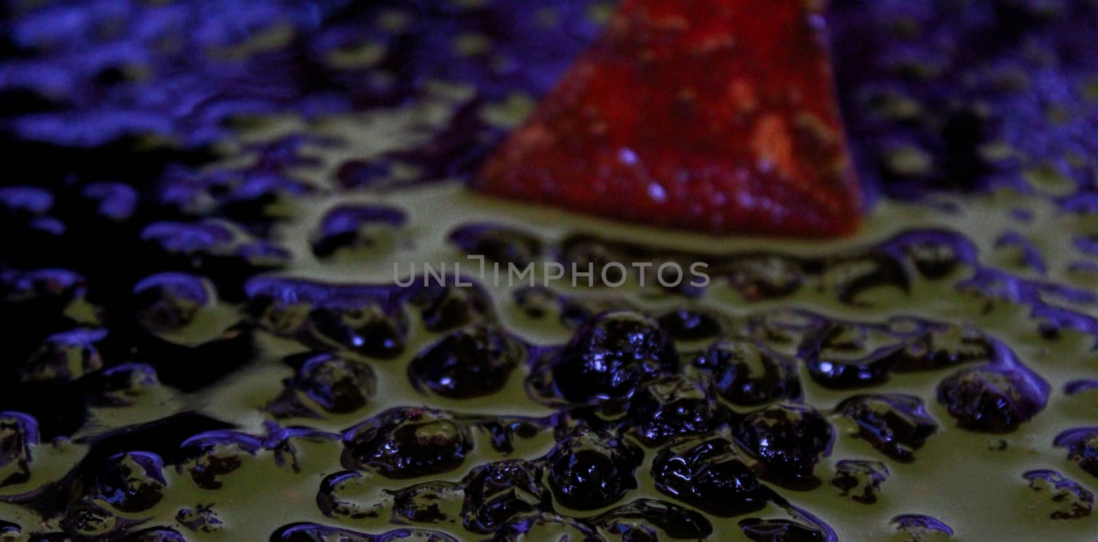 Banner of chokeberry berries on the surface in chokeberry jam. Zavidovici, Bosnia and Herzegovina.