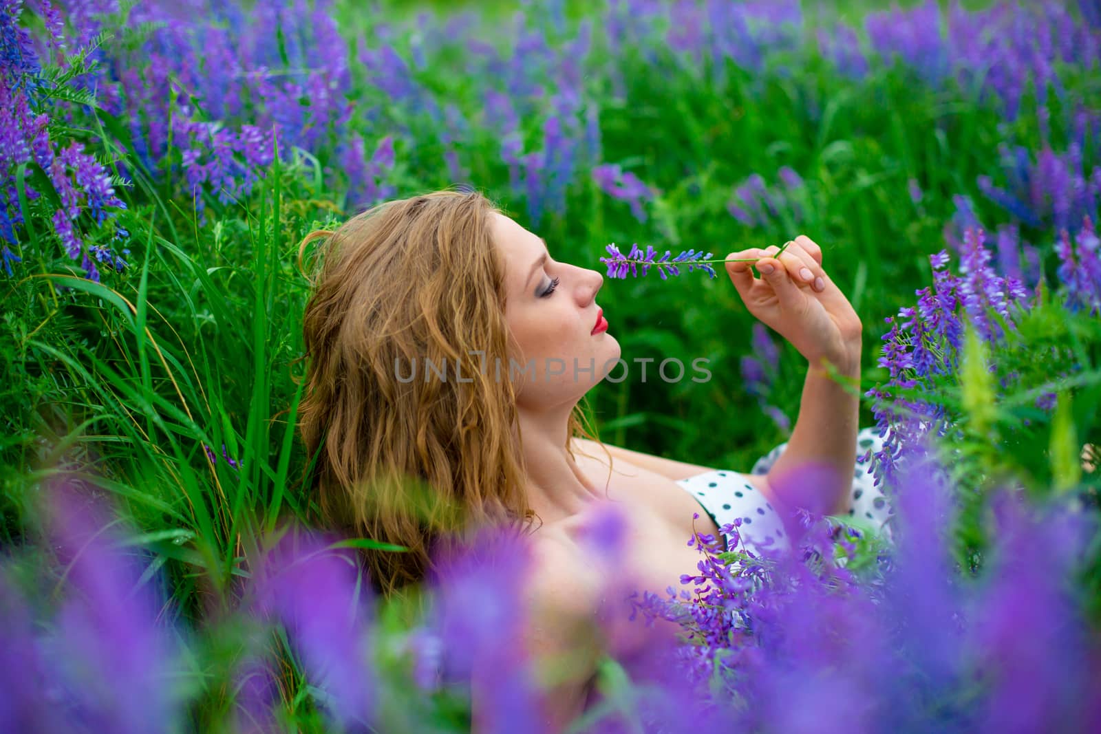Beautiful young blonde girl in a green field among purple wildflowers. Wildlife beautiful girl.