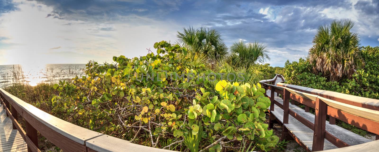 Boardwalk leads down to the white sand of Barefoot Beach by steffstarr