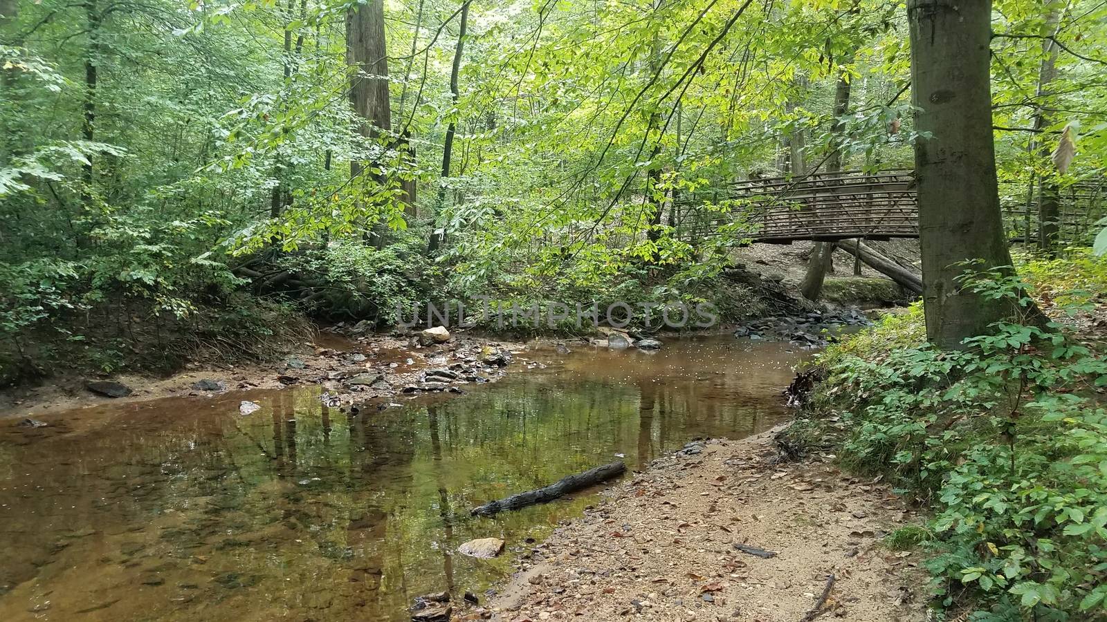 stream or creek water in woods with trees and bridge by stockphotofan1