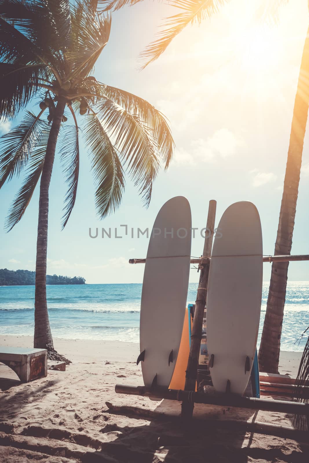 Surfboards beside coconut trees at summer beach with sun light.