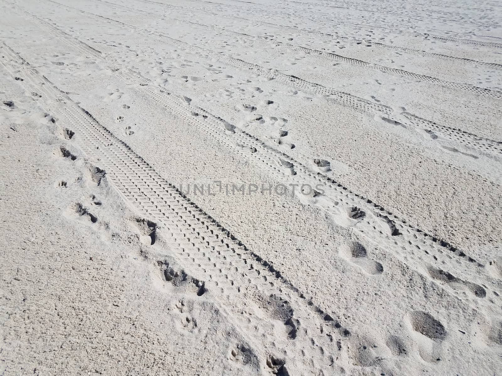 tire tracks and foot prints on combed beach by stockphotofan1