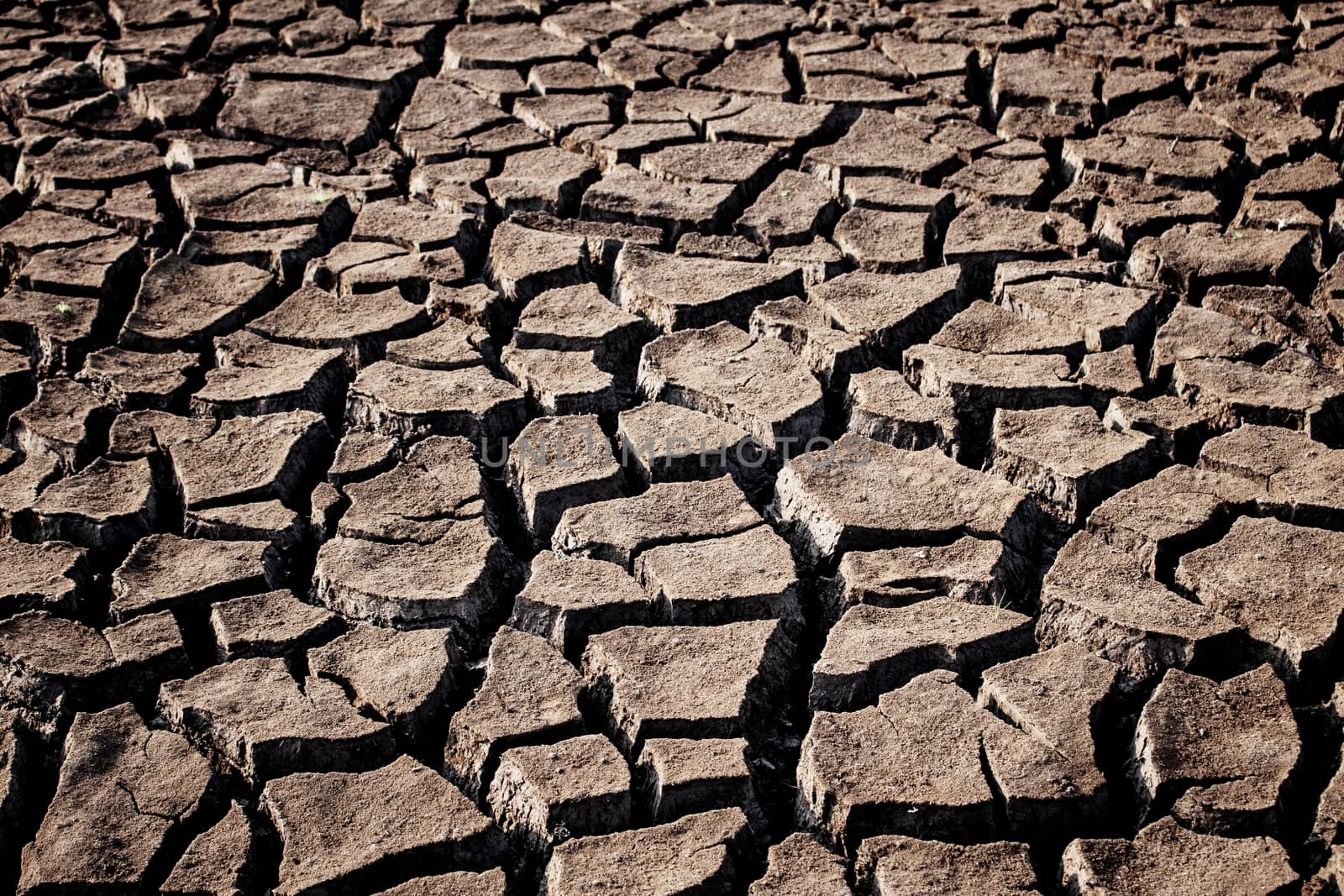 Arid soil of cracked with the background.