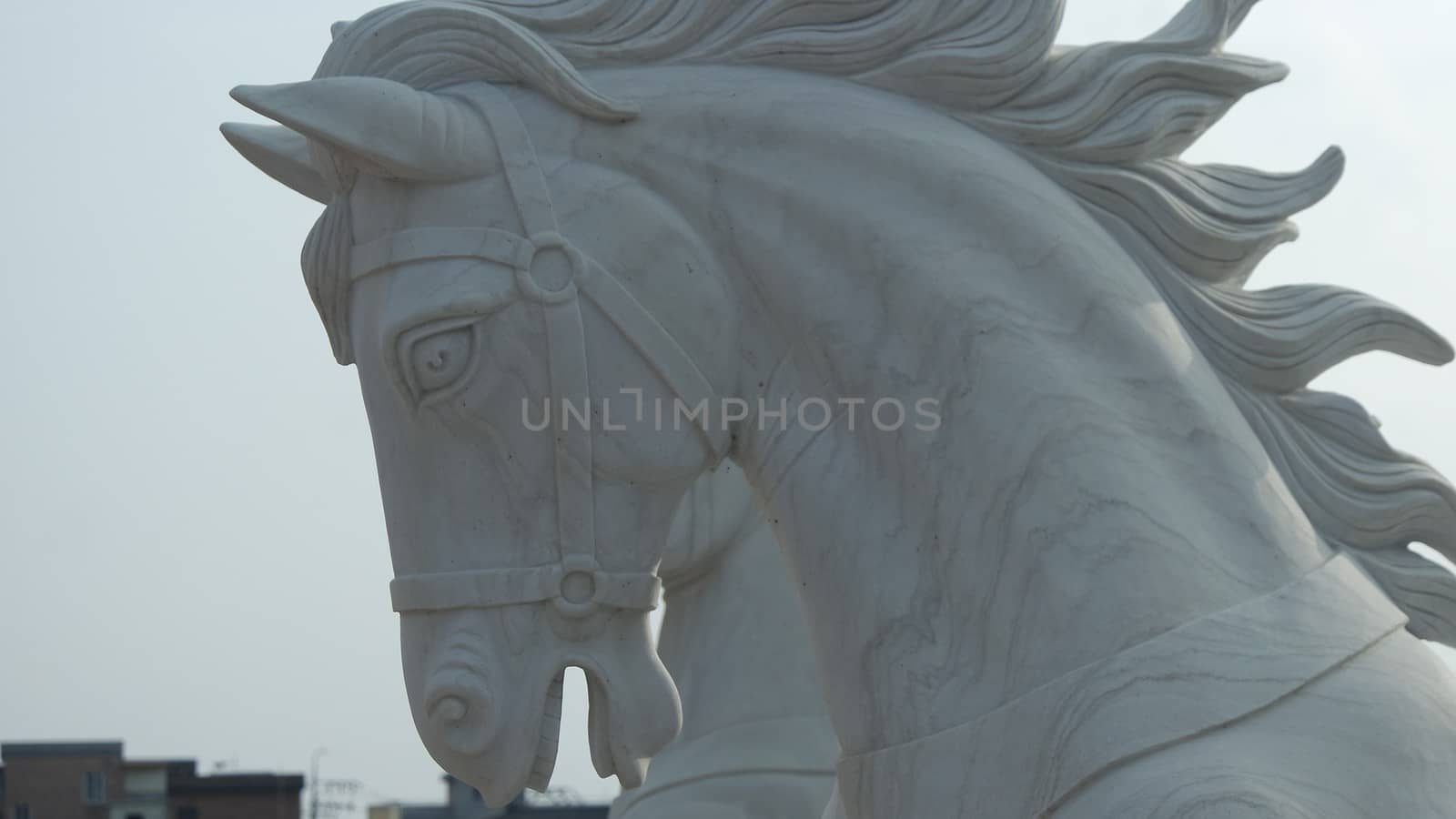 A photograph of a horse's head. Fragment of sculpture composition by Photochowk