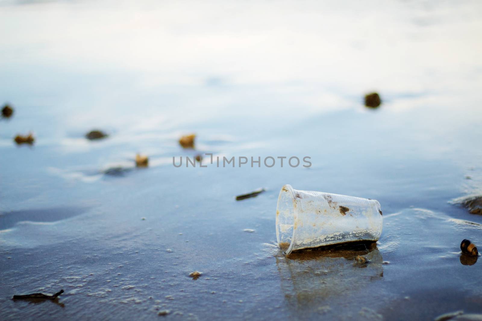 Waste plastic mug on the beach at sunset.