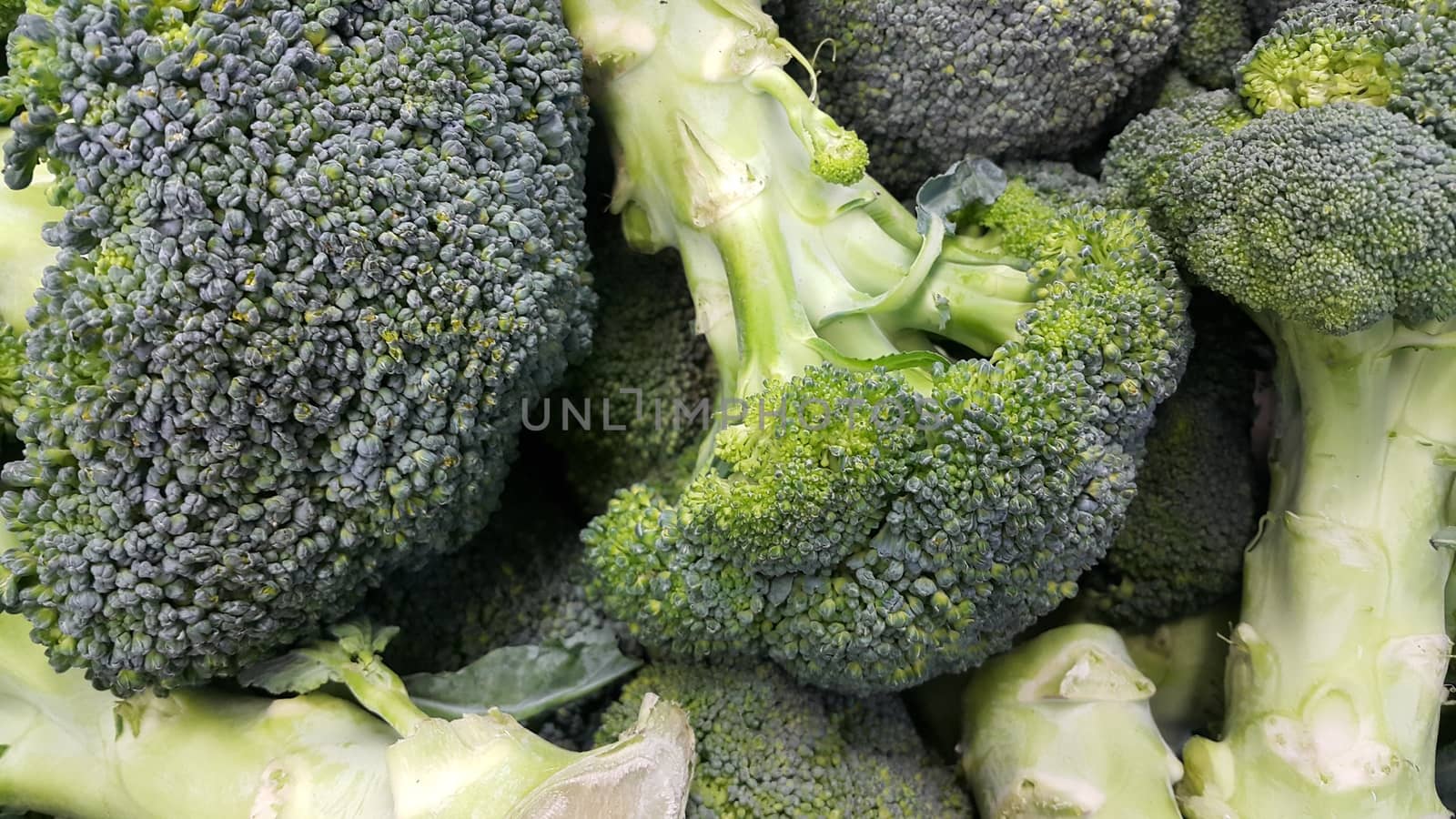 Green fresh broccoli pile placed in market for sale. by Photochowk