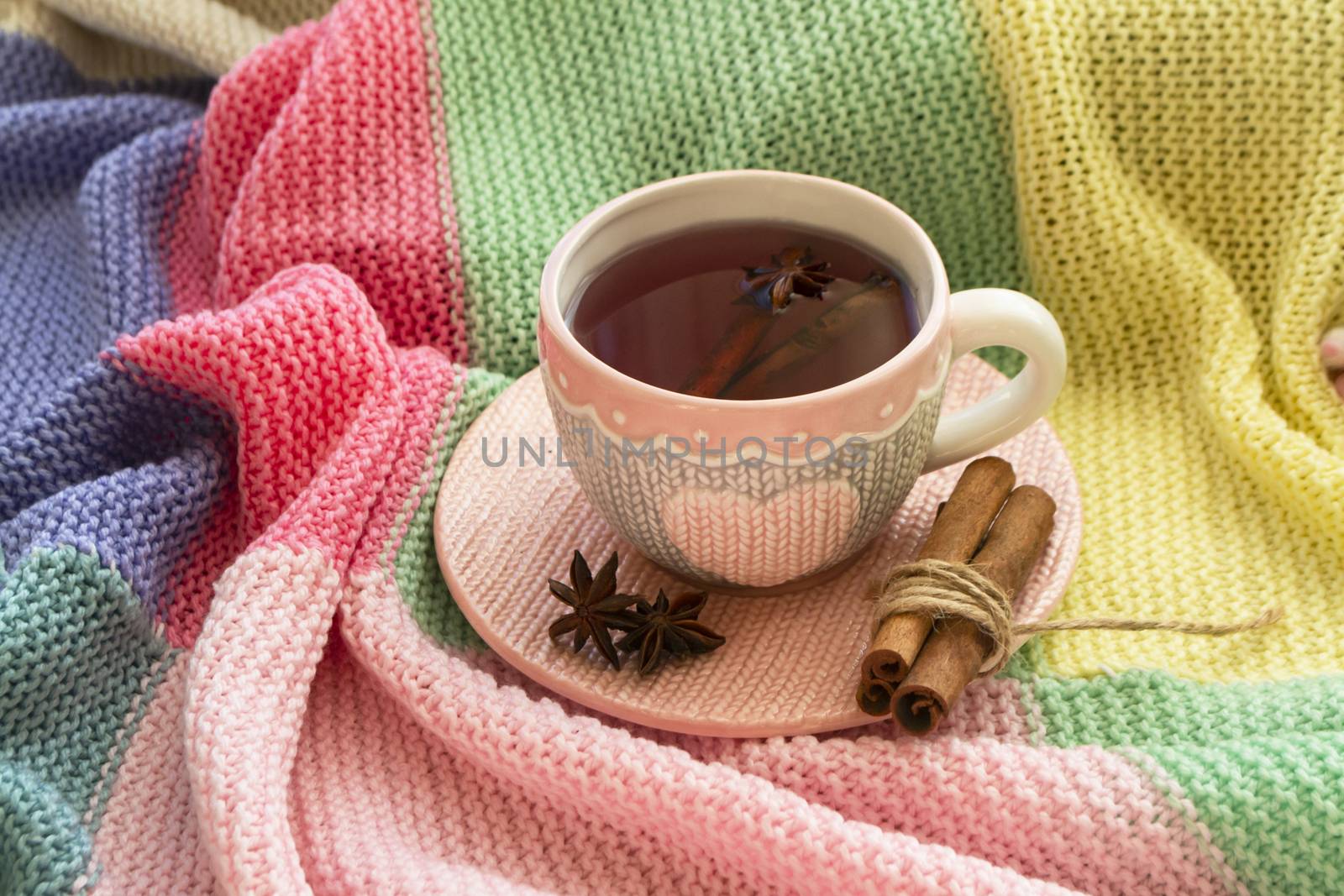 Winter tea with spices, cinnamon and anise on colorful knitted plaid