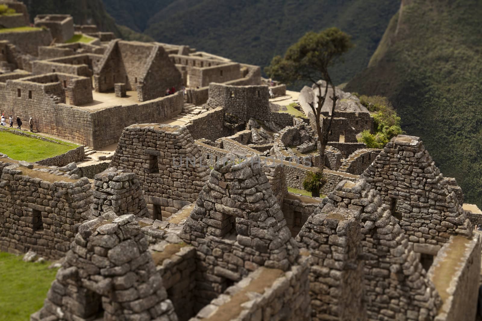 Ancient residential area, Machu Picchu, Peru by alvarobueno
