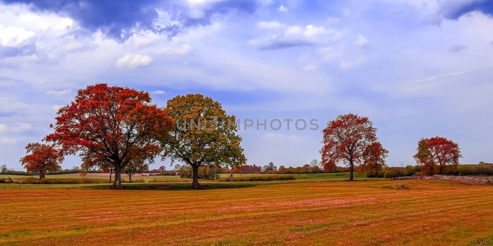 Beautiful panorama view on a golden autumn landscape found in eu by MP_foto71