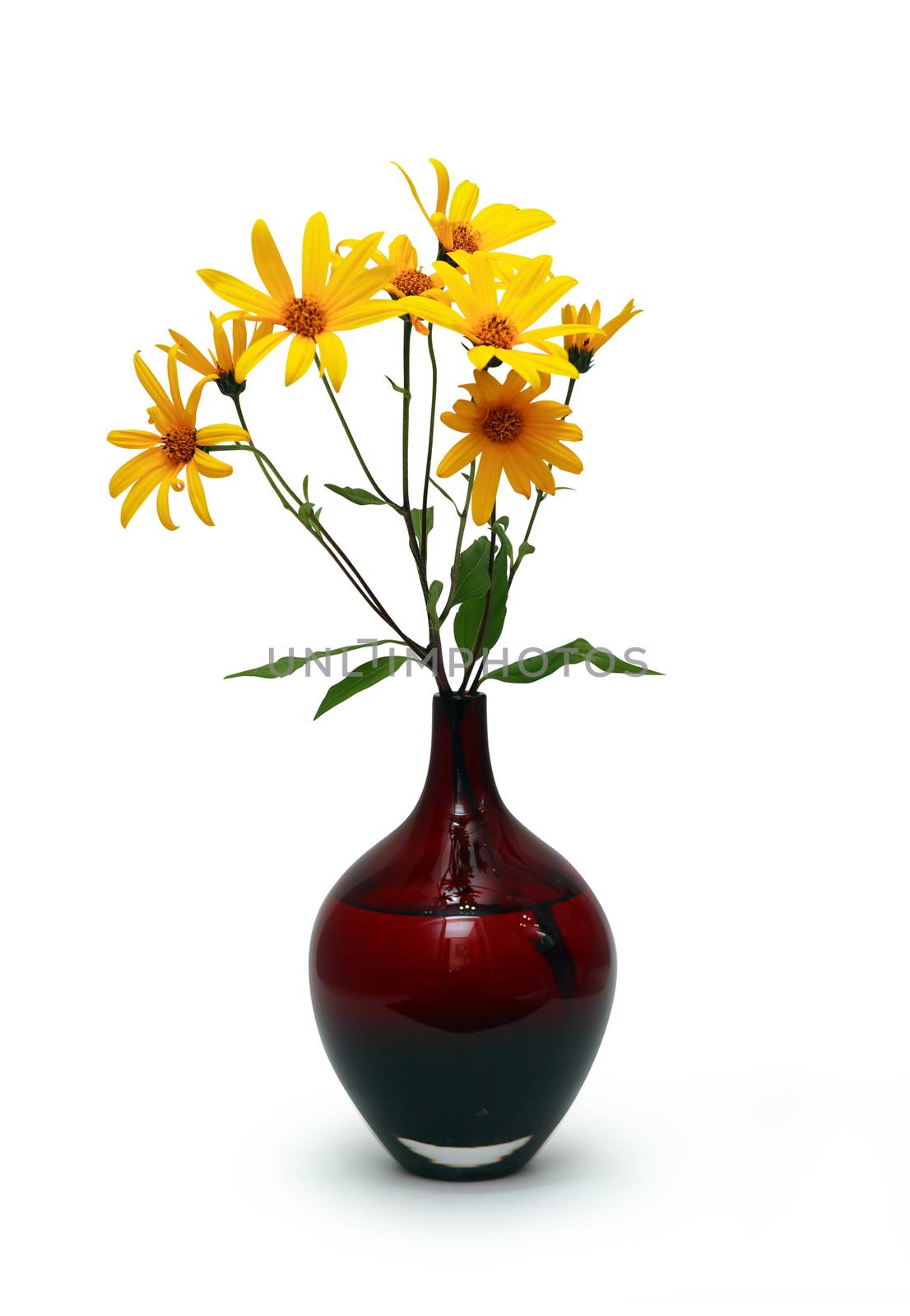 Nice yellow wildflowers in glass vase isolated on white background