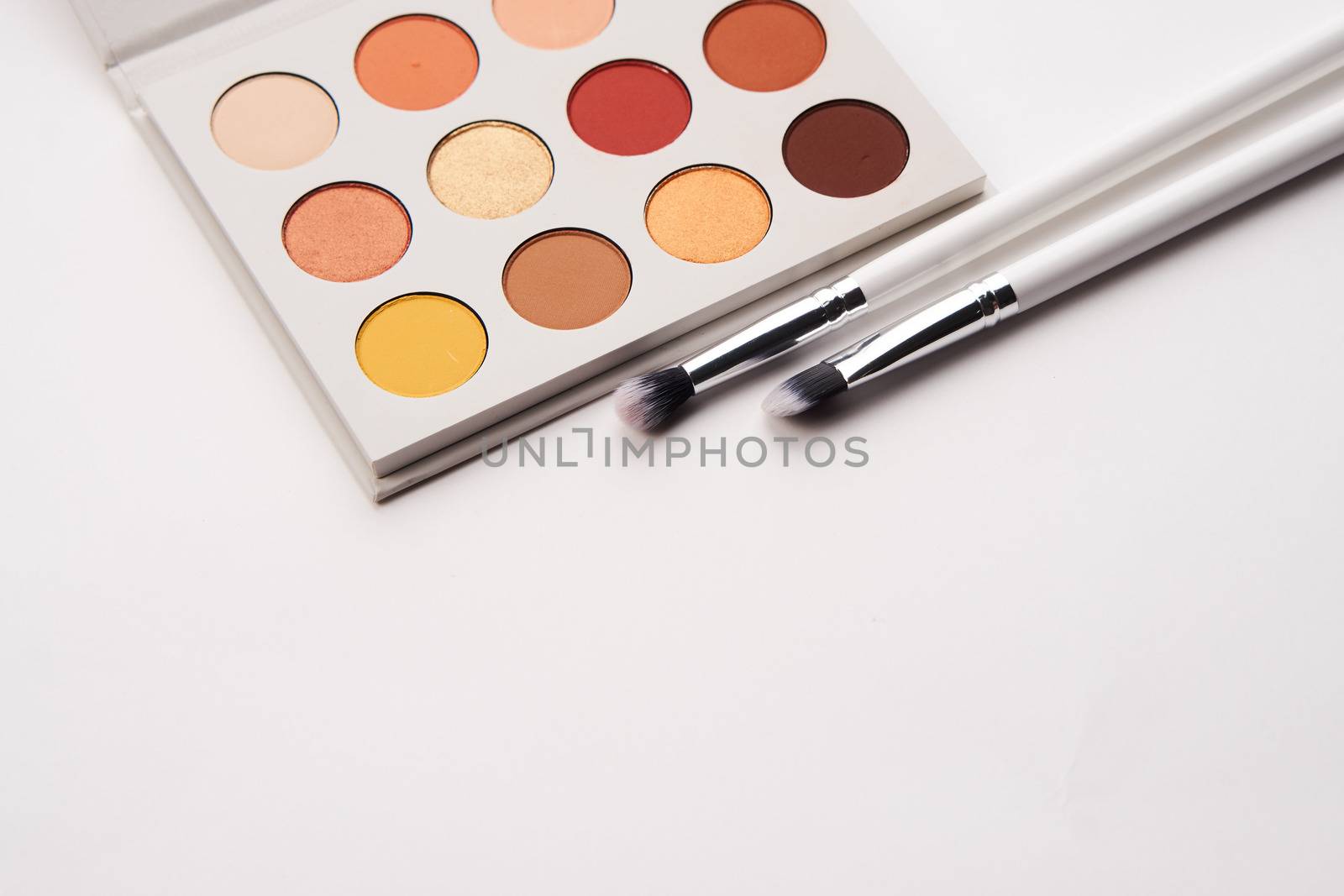 professional eyeshadow on isolated background and makeup brushes cosmetics fashion. High quality photo