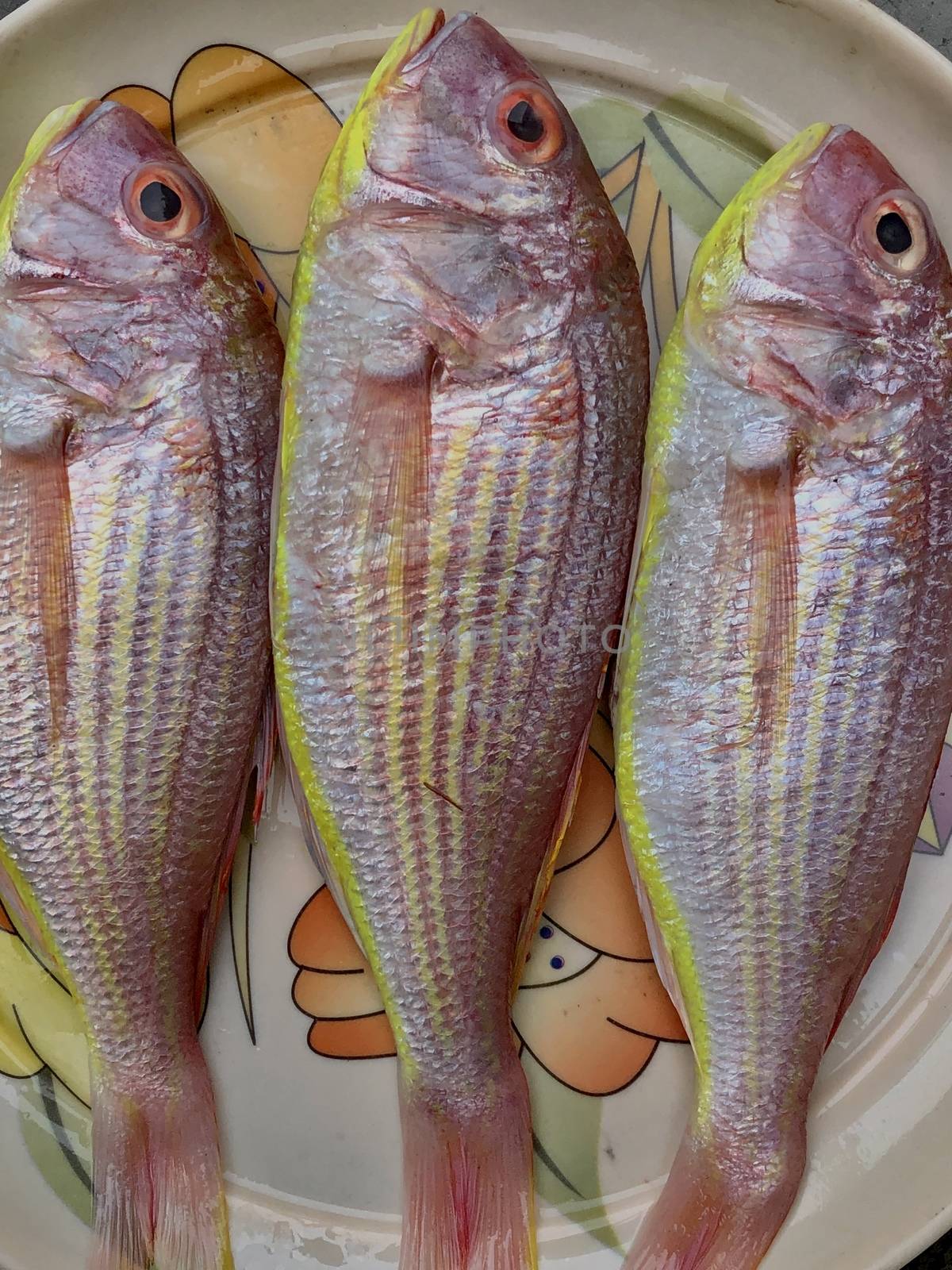 Closeup view of red snapper fish kept in the plate at market for sale