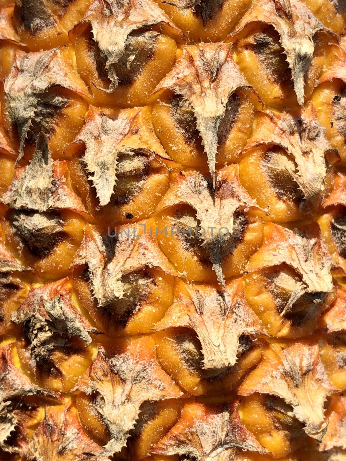 Closeup view of texture design in the pineapple fruit with sunlight background