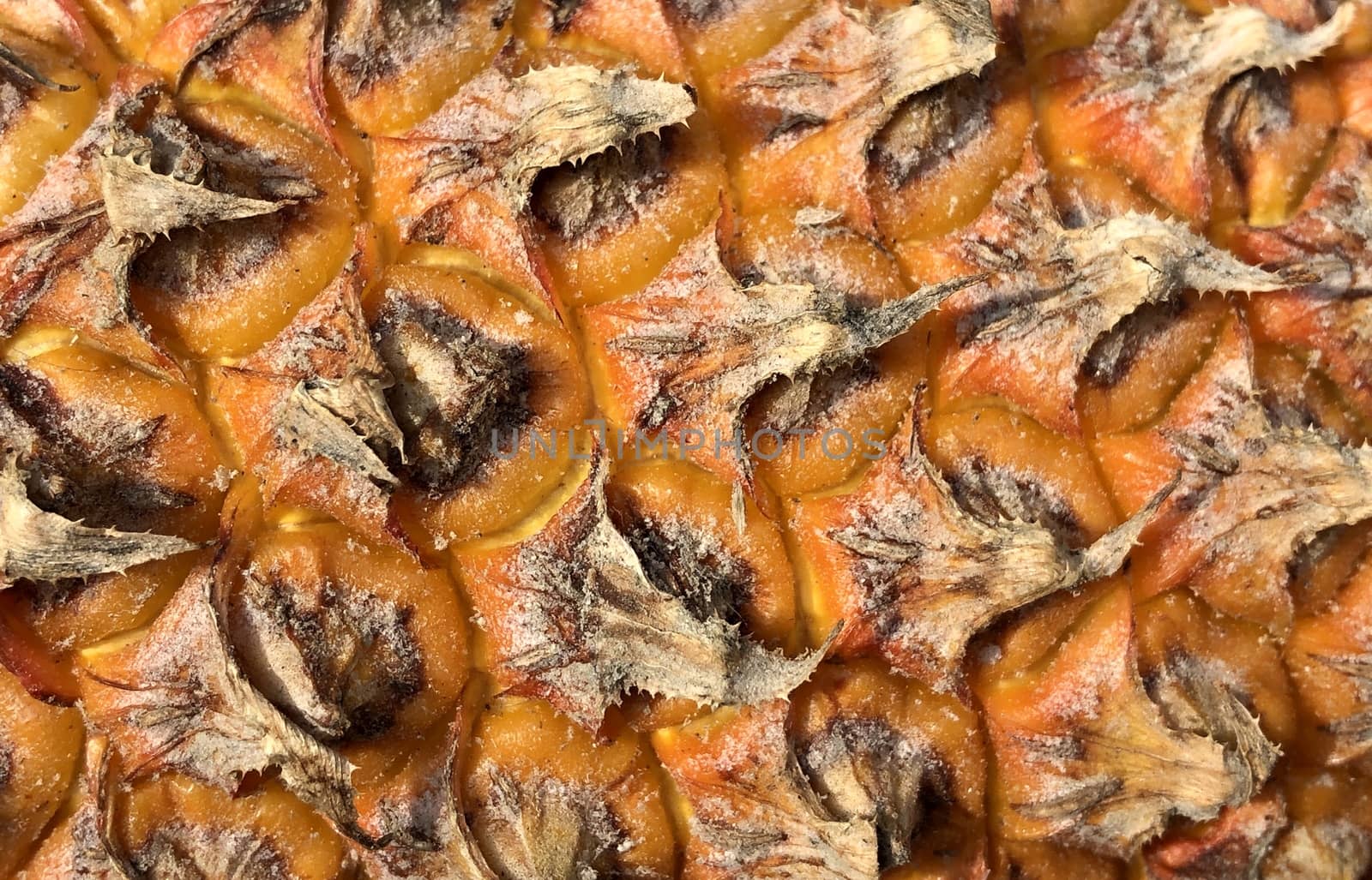 Closeup view of texture design in the pineapple fruit with sunlight background