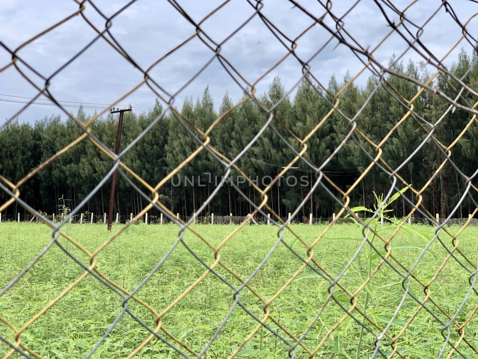 Metallic wire fence with beautiful scenic natural greenery view in the background