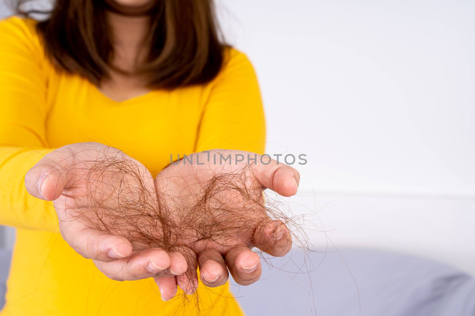 Hair fall problem, closeup hand holding problem hair. Healthcare medical or daily life concept. by mikesaran