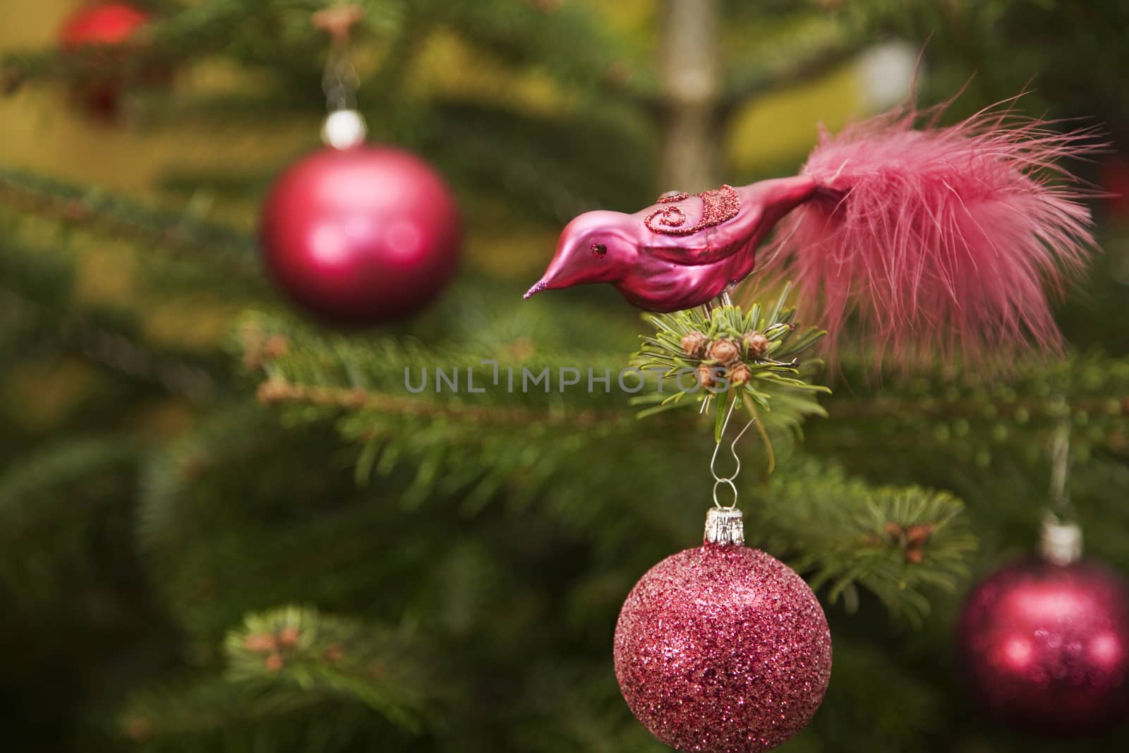 Red Christmas decoration on a fir tree