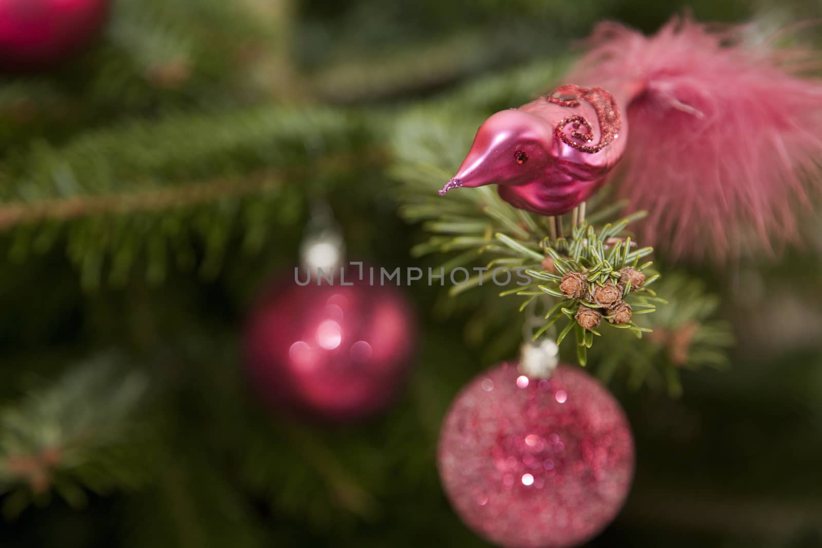 Red Christmas decoration on a fir tree