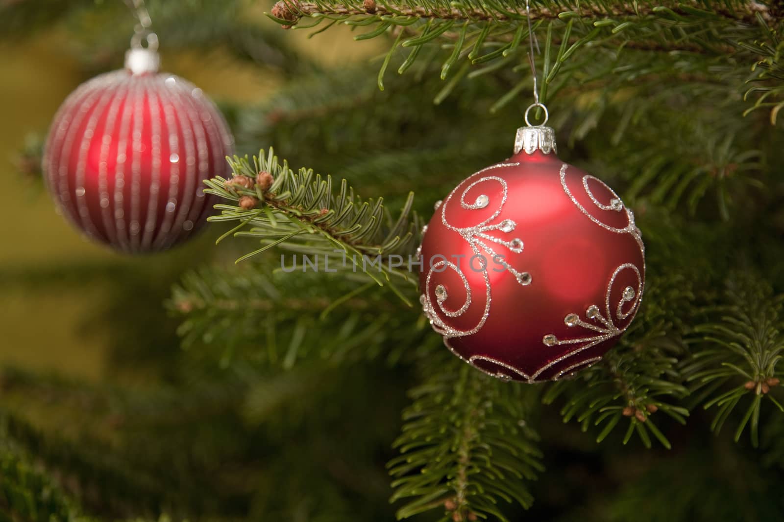 Red Christmas decoration on a fir tree