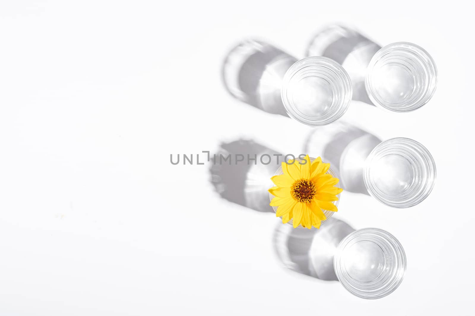 Fresh clear water drink with yellow flower in glass on white background, hard light creative composition, top view copy space