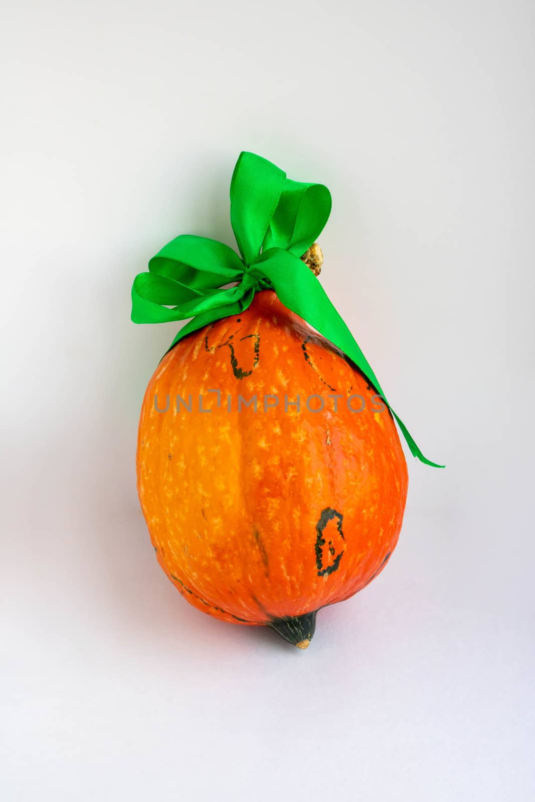 Funny pumpkin with a green bow on a white background . The concept of Halloween ,harvest,thanksgiving,vegetarianism.