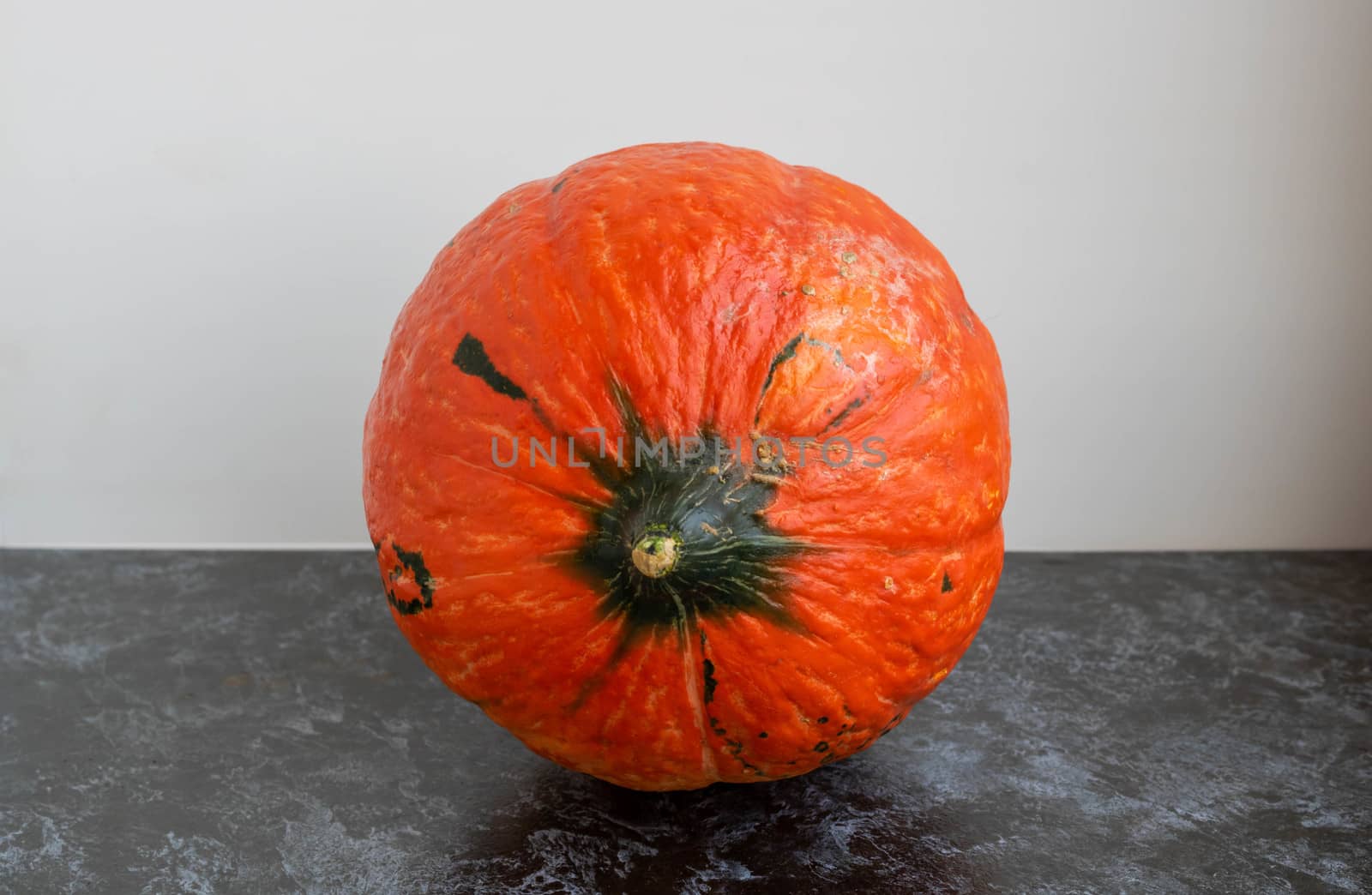 Orange pumpkin with a green tail on a white background . The concept of Halloween ,harvest,thanksgiving,vegetarianism.